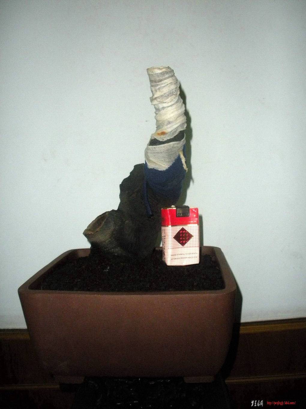2011.4.7 001.jpg
