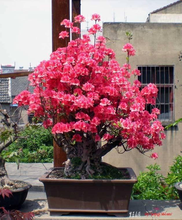 DSCN1206.JPG