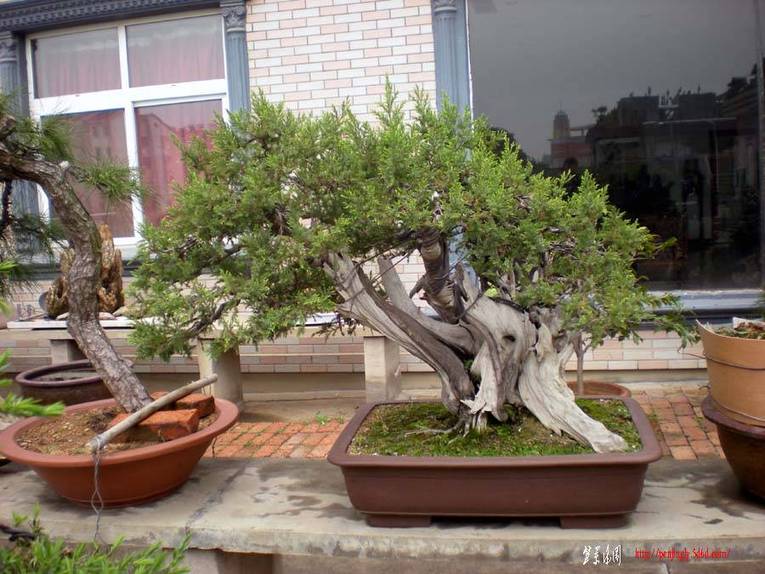 DSCN2294.JPG