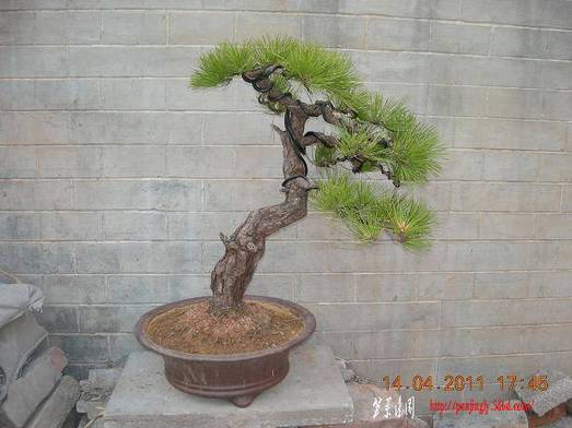 DSCN4391.JPG