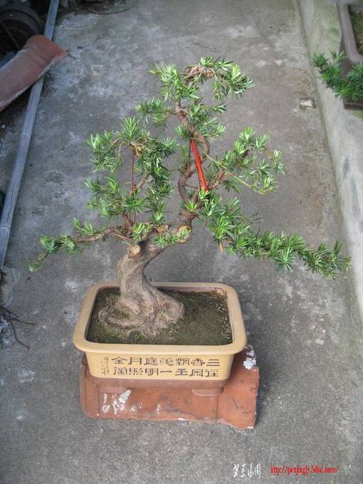 Ƭ 041.JPG