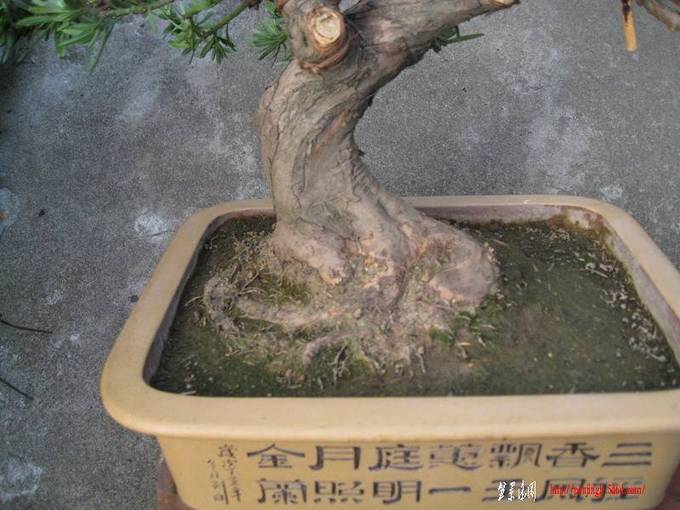 Ƭ 043.JPG