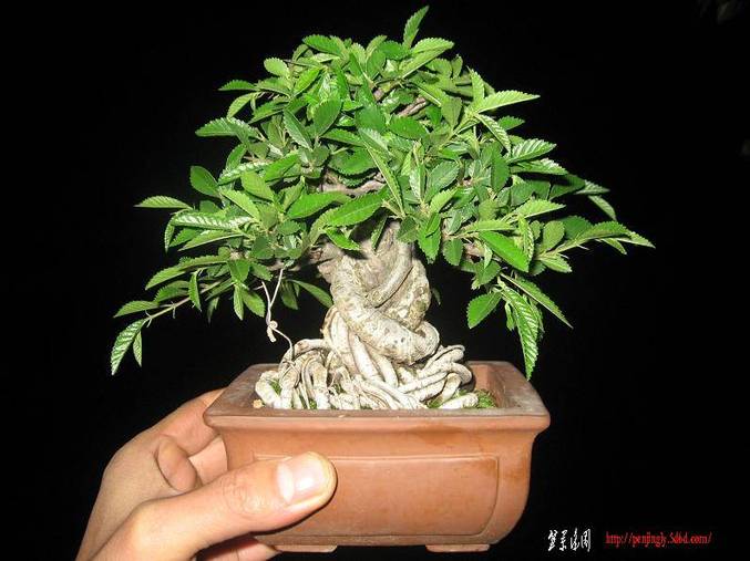 Ƭ 019.jpg