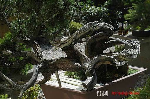 2006_09_dsc_5752v.jpg
