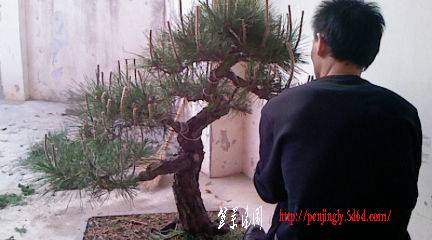 RK000065.JPG