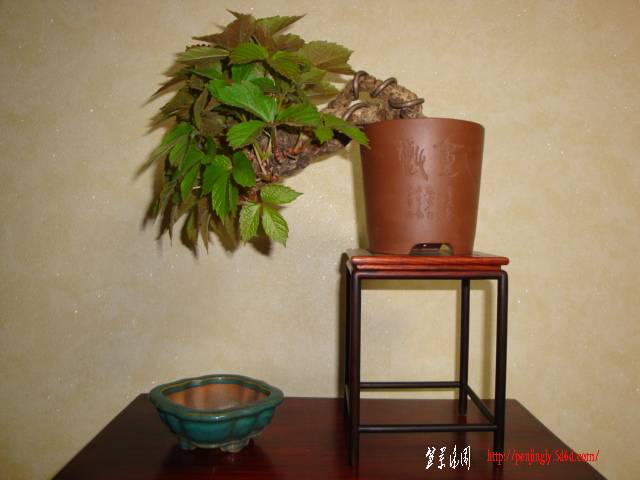 DSC04629.JPG