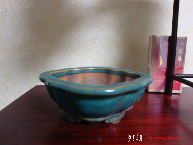 DSC04631.JPG