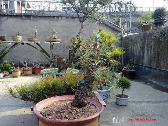 201104171303.jpg