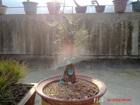 201104171305.jpg