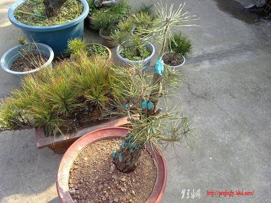 201104171307.jpg
