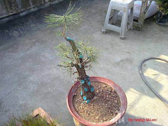 201104171308.jpg