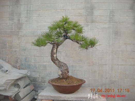 DSCN4403.JPG