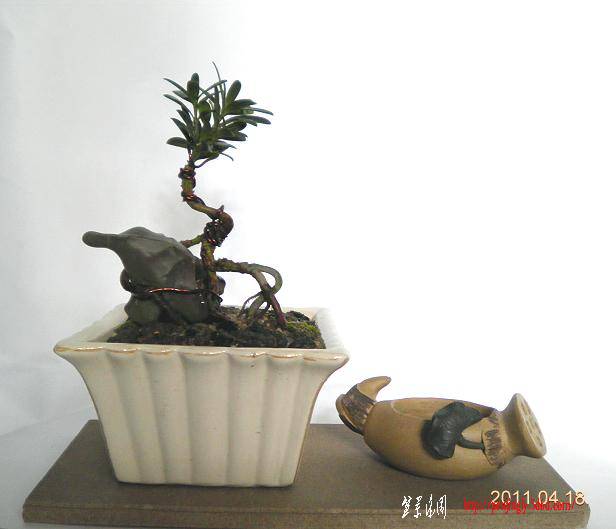 С2010----18.JPG