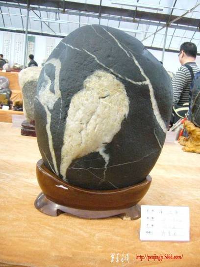 78.JPG