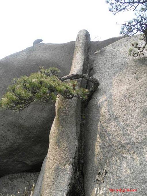 103.jpg