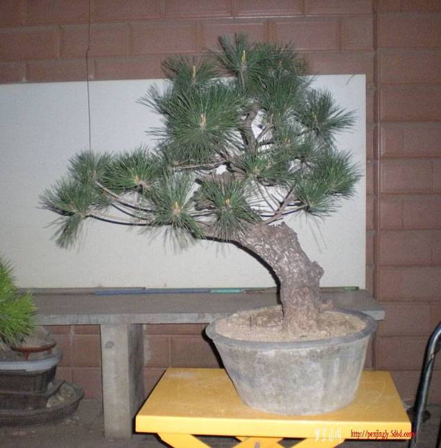 DSCN3306 ����.jpg