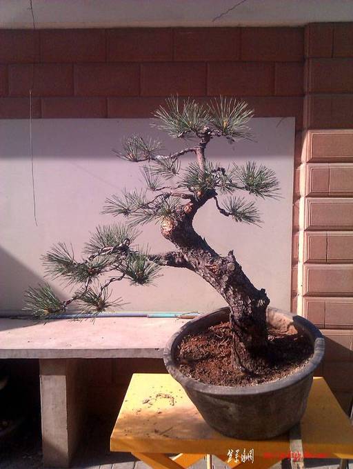 IMAG0150 ����.jpg