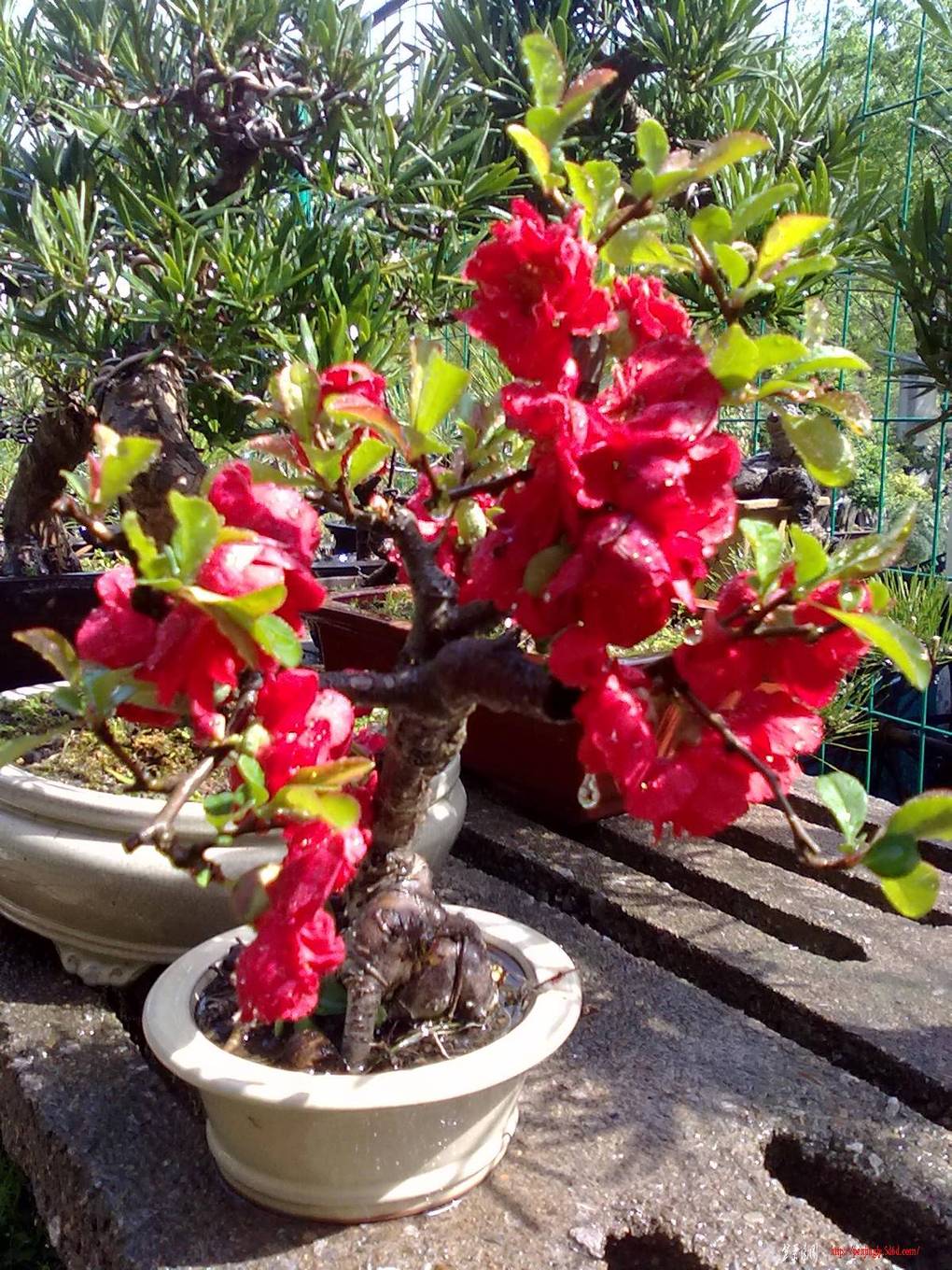 20110418348.jpg