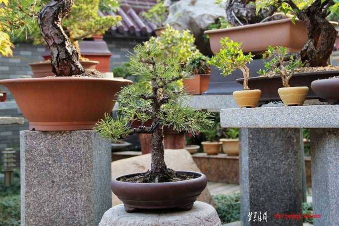 辰2 106.jpg