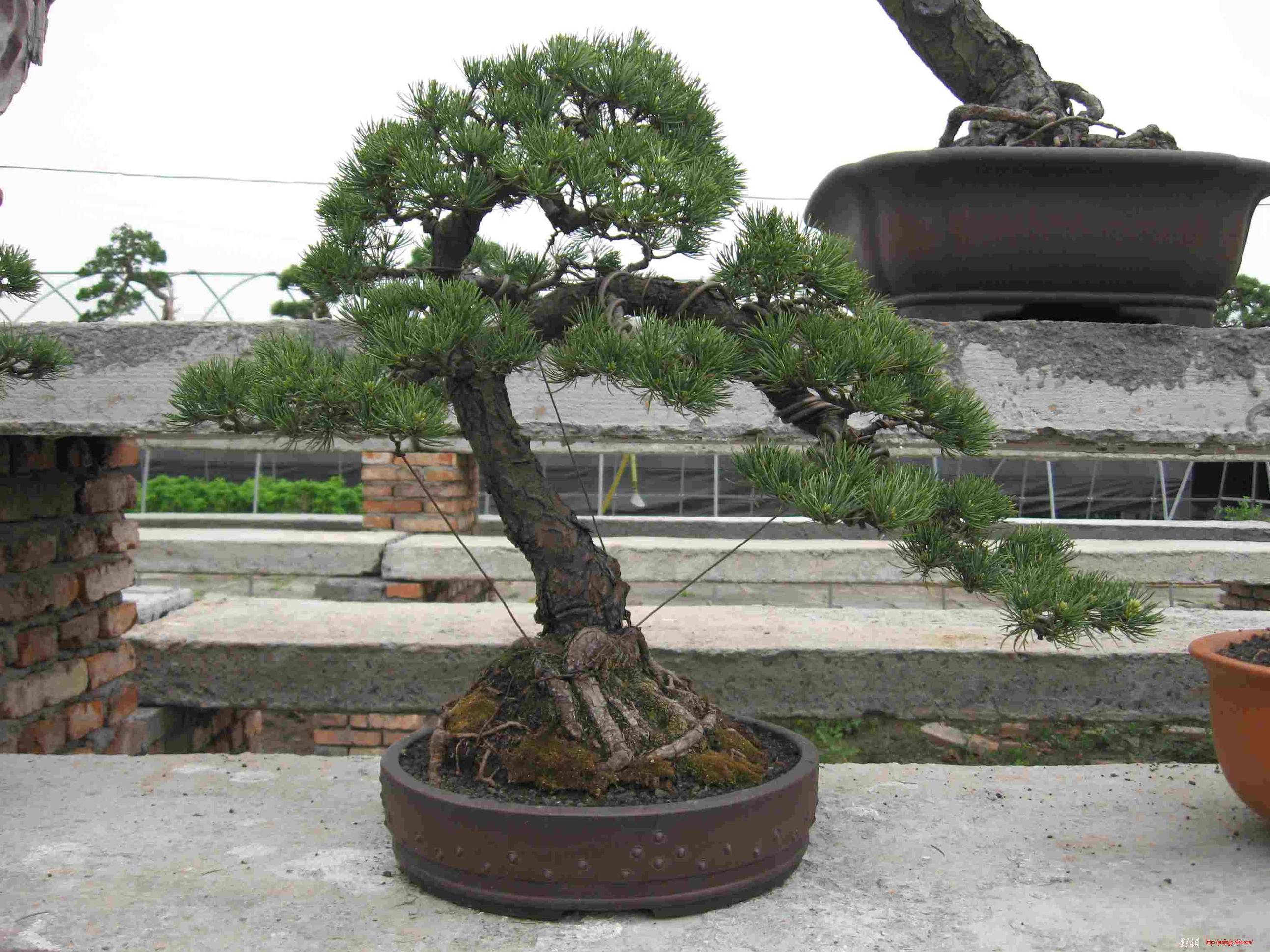 ÷԰ 042.jpg