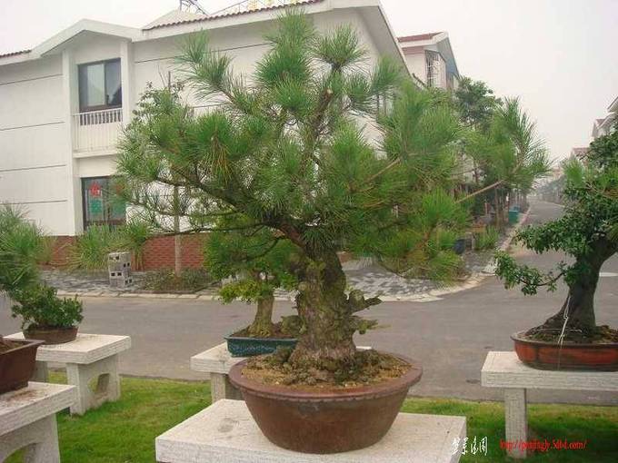 辰 (84).JPG