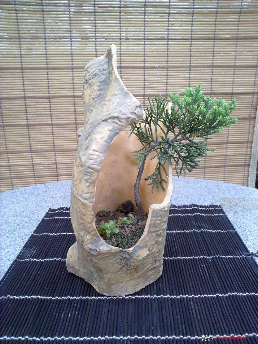 20110420276.jpg