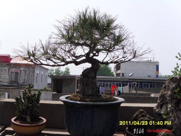 SDC11114.JPG