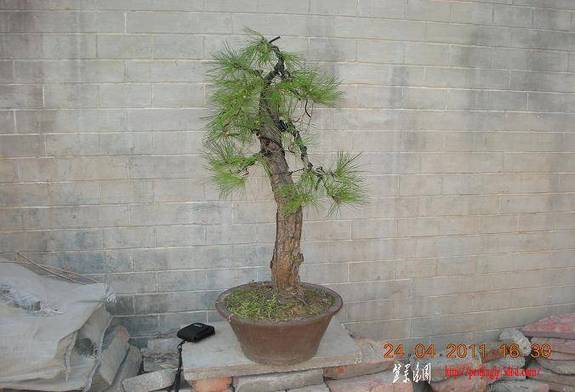 DSCN4455.JPG