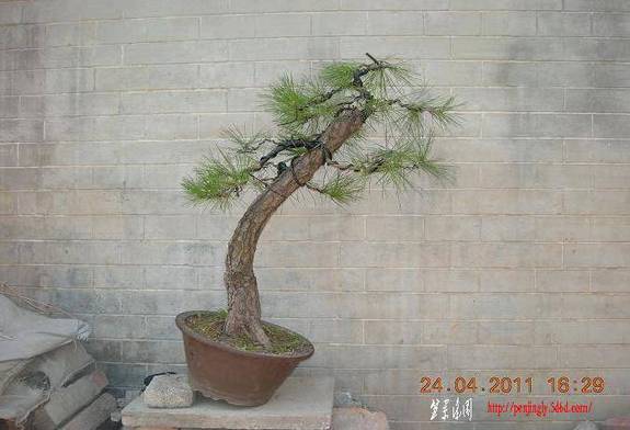 DSCN4453.JPG