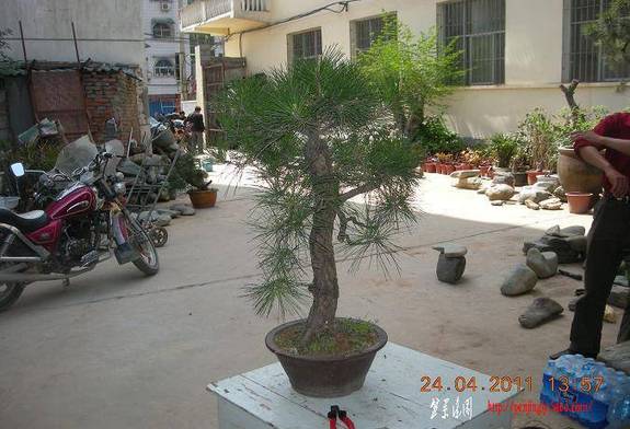 DSCN4447.JPG