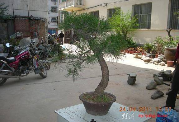 DSCN4446.JPG