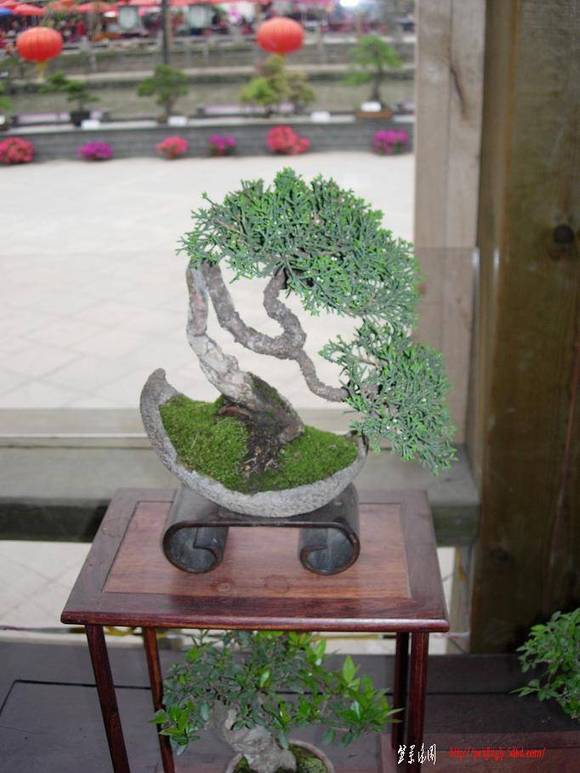 DSCN5388.JPG