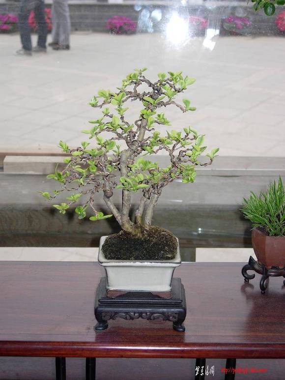 DSCN5395.JPG