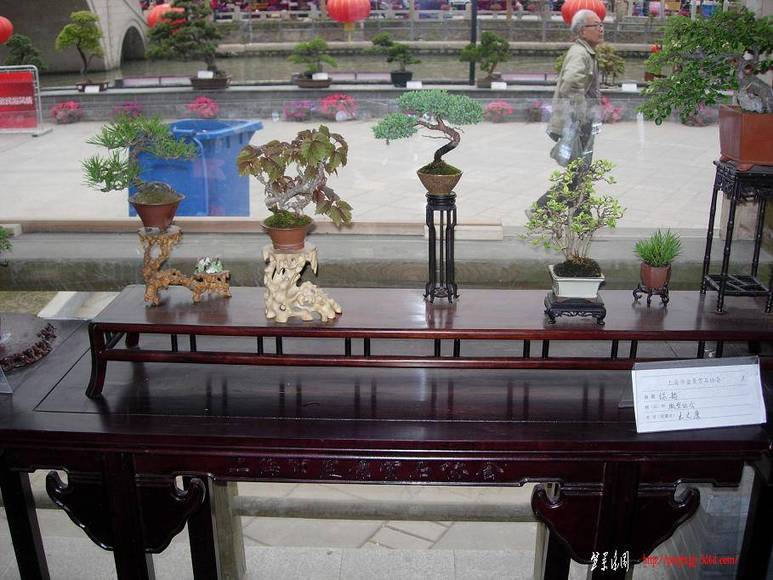 DSCN5397.JPG