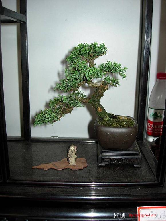 DSCN5403.JPG