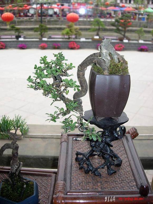 DSCN5480.JPG