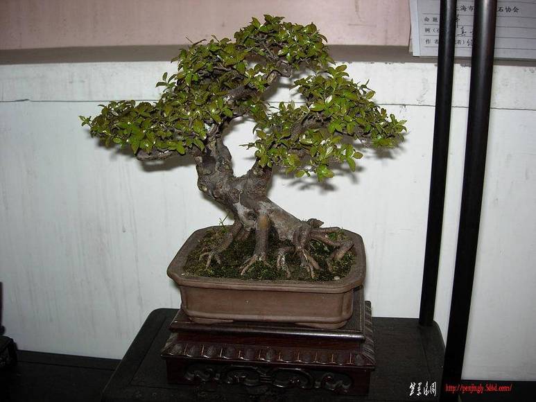 DSCN5407.JPG