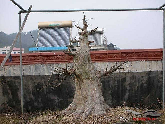 DSCN1609.JPG