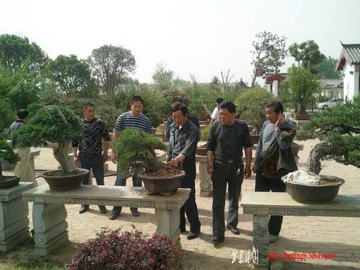 Ƭ0202.jpg