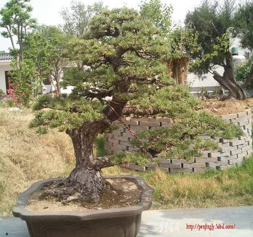 Ƭ0203.jpg