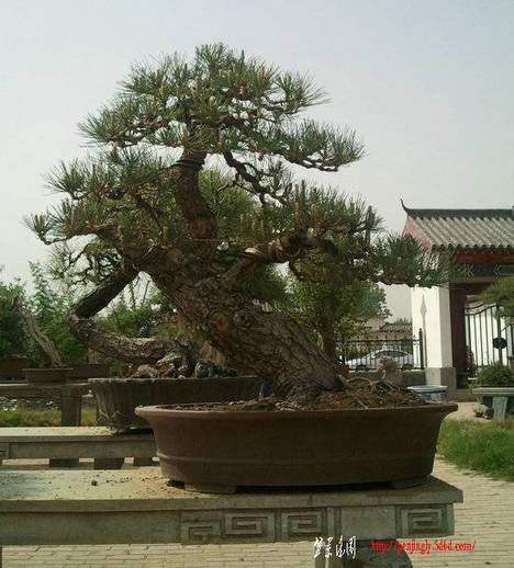 Ƭ0214.jpg