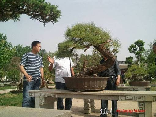 Ƭ0211.jpg