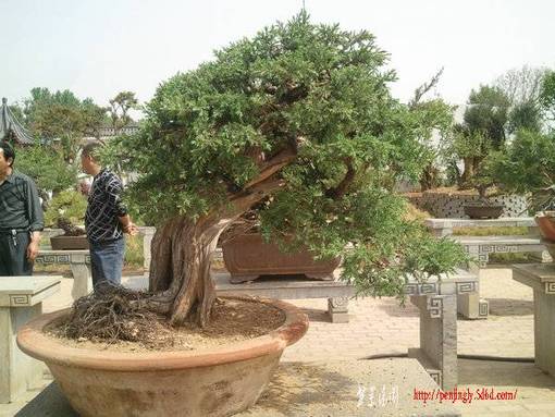 Ƭ0210.jpg