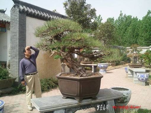 Ƭ0207.jpg