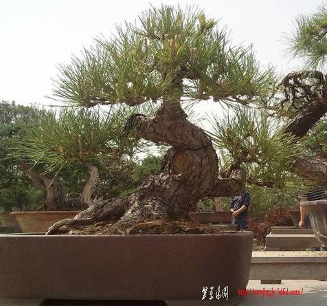Ƭ0215.jpg