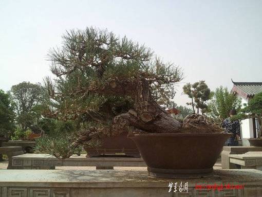 Ƭ0213.jpg