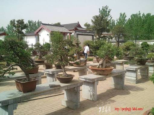Ƭ0205.jpg