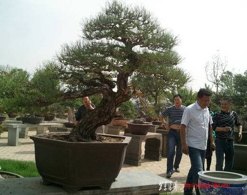 Ƭ0219.jpg