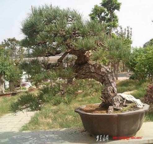 Ƭ0216.jpg