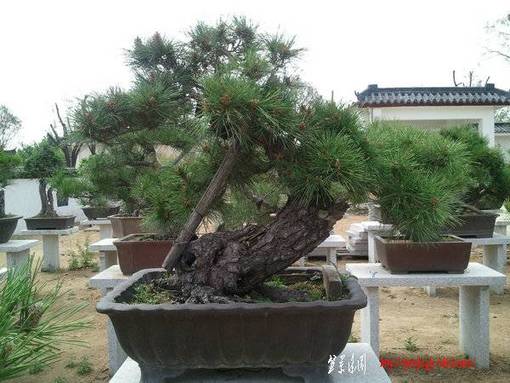 Ƭ0224.jpg